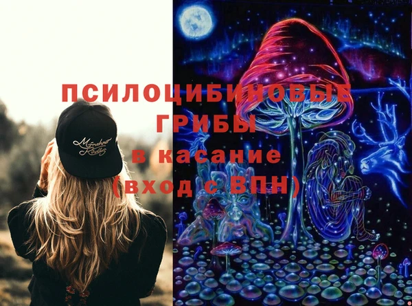 ешки Богданович